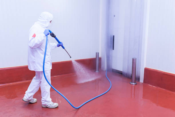 Best House Exterior Washing  in Centre, AL